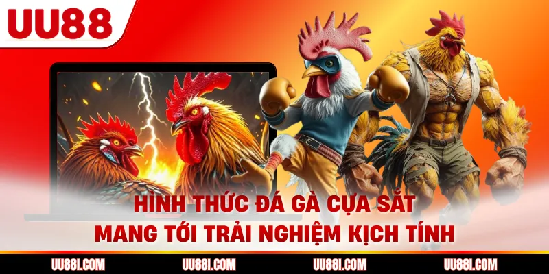 Hình thức đá gà cựa sắt mang tới trải nghiệm kịch tính